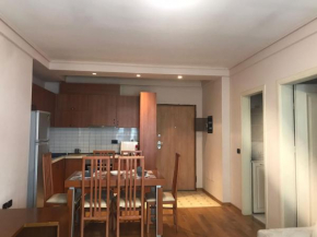 Apartment in Tirana (Myslym Shyri)